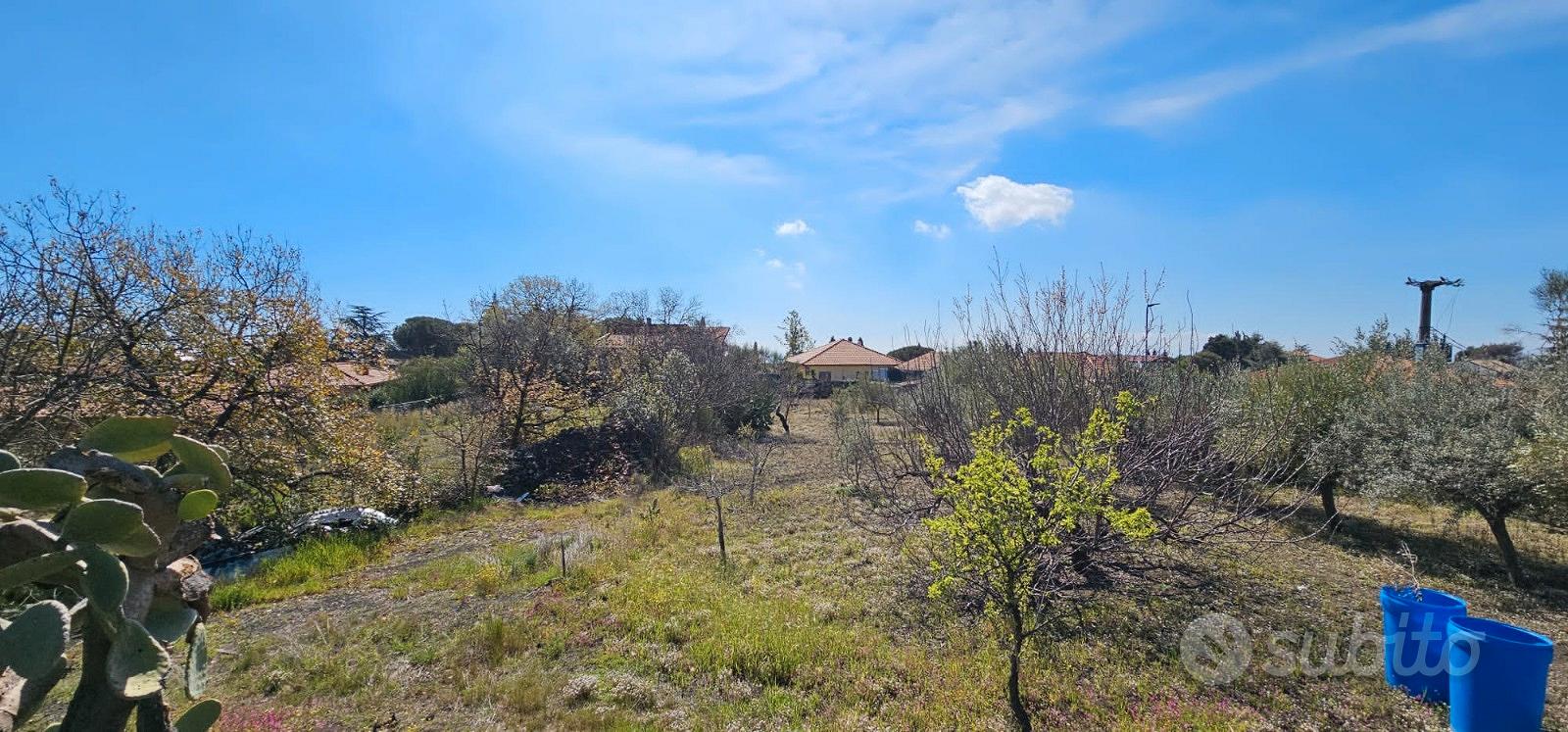 Cod.TE109 Terreno edificabile con casa rurale - Vista 2