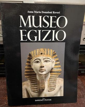 MUSEO EGIZIO Anna Maria Donadoni Roveri, Barisone