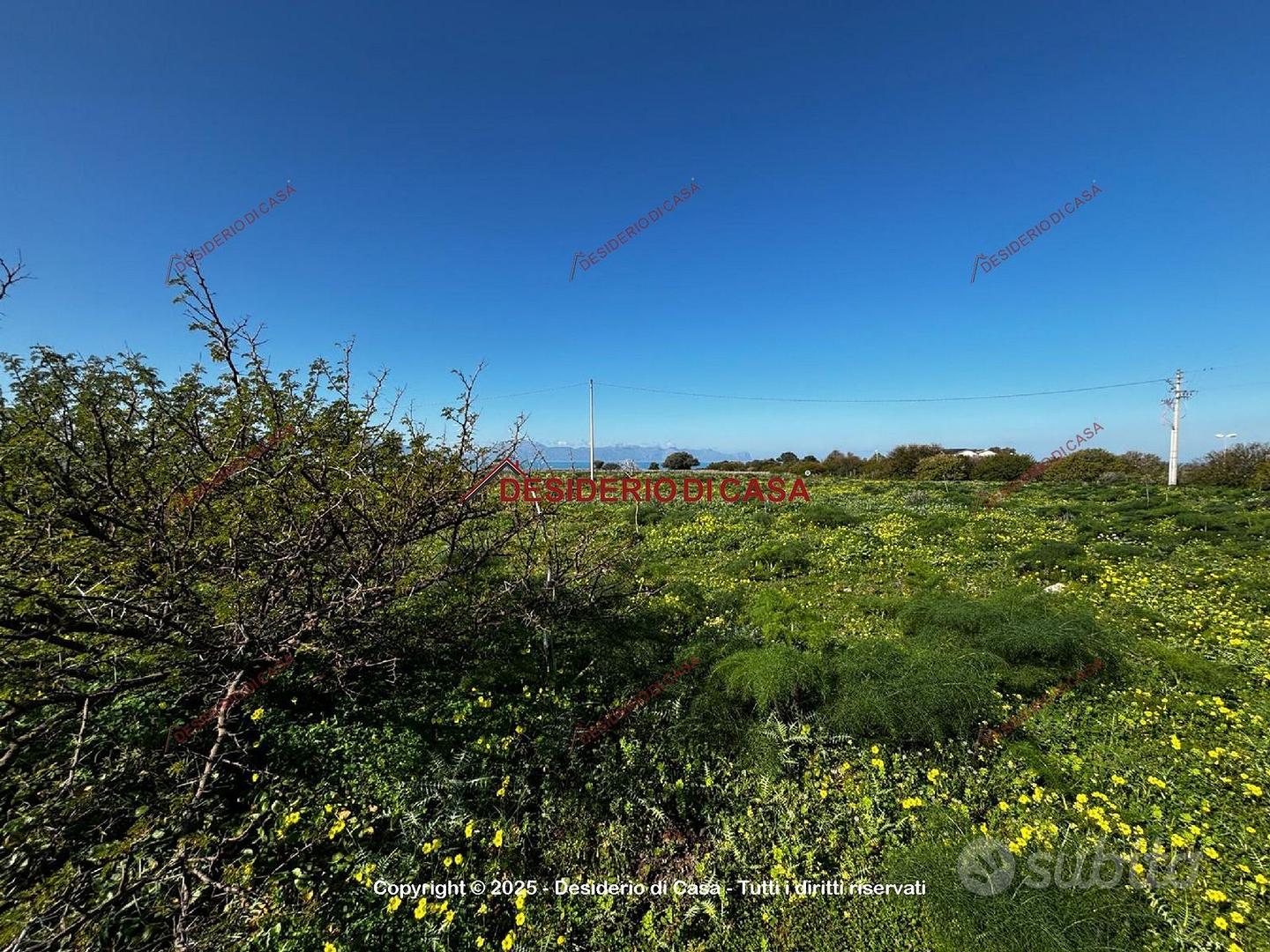 Terreno, Terrasini. - Vista 2