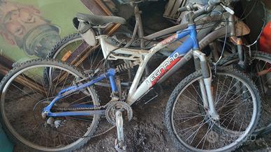 Bici Legnano Climber