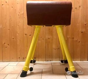 cavallina e pedana ginnastica artistica