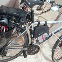 bici elettrica pedalata assistita con acceleratore