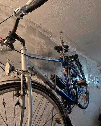 Bici CHESINI