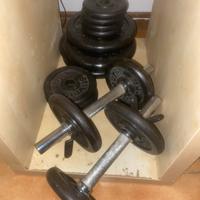 Manubri + dischi + panca piana