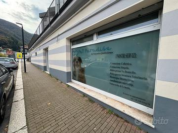 Attività per funerali a quattro zampe