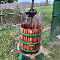 Torchio per  Uva 