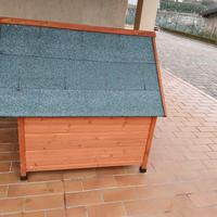 casetta da esterno per cani 