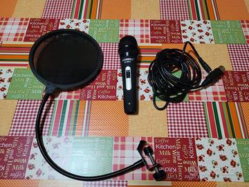 Microfono dinamico WEISRE M-6900 con cavo + filtro