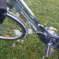 bicicletta da donna 