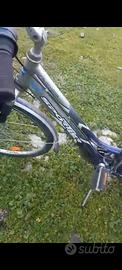 bicicletta da donna 