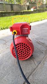 pompa rover 25 in ottone 