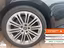 Immagine 19