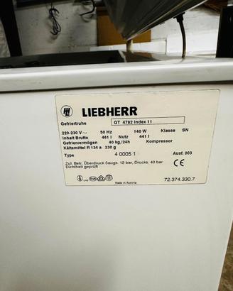 Congelatore a pozzetto marca LIEBHERR 440 Litri