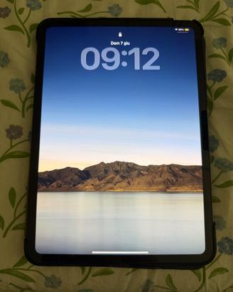Ipad Pro 11” M4 256GB Cellular