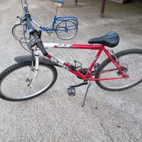 Mountain bike uomo nuova