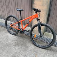 Mountain bike junior 