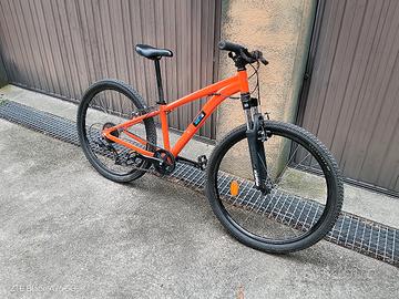 Mountain bike junior 