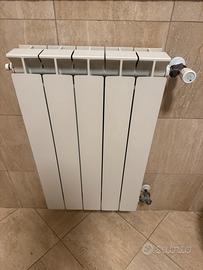 Radiatore in alluminio