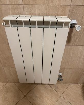Radiatore in alluminio