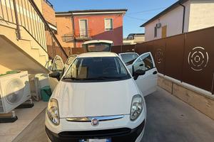 Fiat Punto EVO Benzina per neopatentati