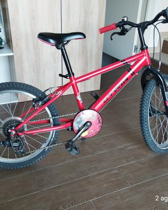 Bicicletta bambino ruota 20"