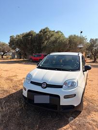 Fiat Panda 2022