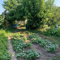 Terreno per orto o altri usi