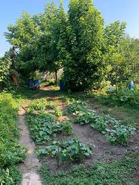 Terreno per orto o altri usi