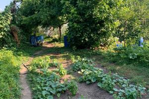 Terreno per orto o altri usi
