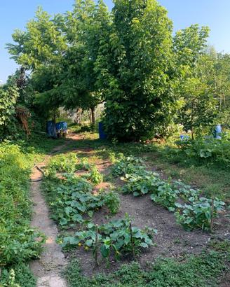 Terreno per orto o altri usi