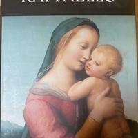 Raffaello. La pittura, i disegni 