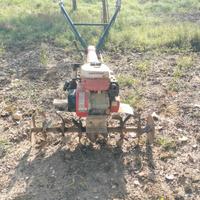 Motozappa Yanmar 682