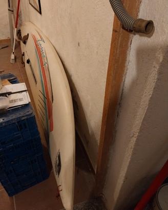 windsurf