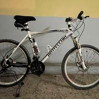 Bottecchia FX 530