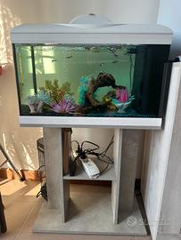 Acquario completo 60 litri