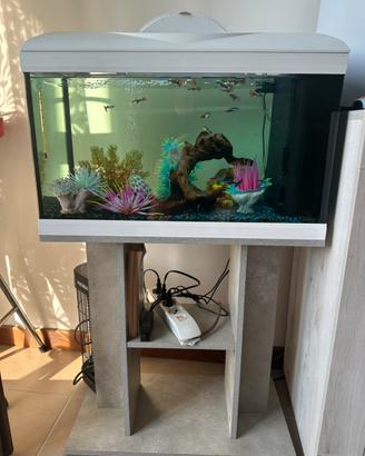 Acquario completo 60 litri