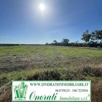 Terreno Industriale MQ 8.000 FIUMICINO