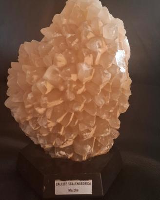minela da collezione 
