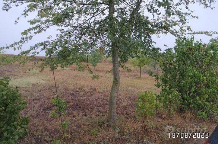 Immobile in asta di 64380 m² a Alessandria - Vista 2