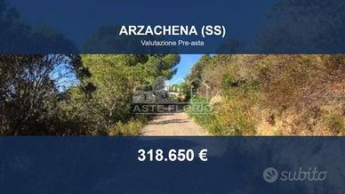 Immobile in asta di 8168 m² a Arzachena