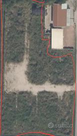 Terreno agricolo