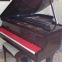 Pianoforte un quarto di coda  Roma