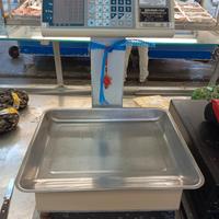 bilancia professionale 