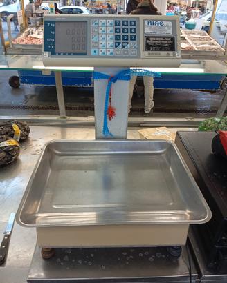 bilancia professionale 