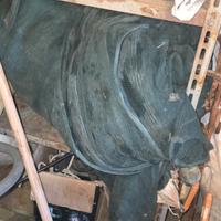 Rete tenda per raccolta olive 