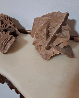Rose del deserto