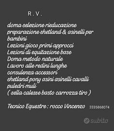 Cavalli pony asini muli asinelli shetland