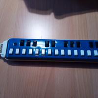 Strumento musicale giocattolo 