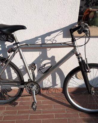 Bicicletta MTB