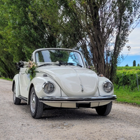 Noleggio auto matrimonio maggiolino maggiolone